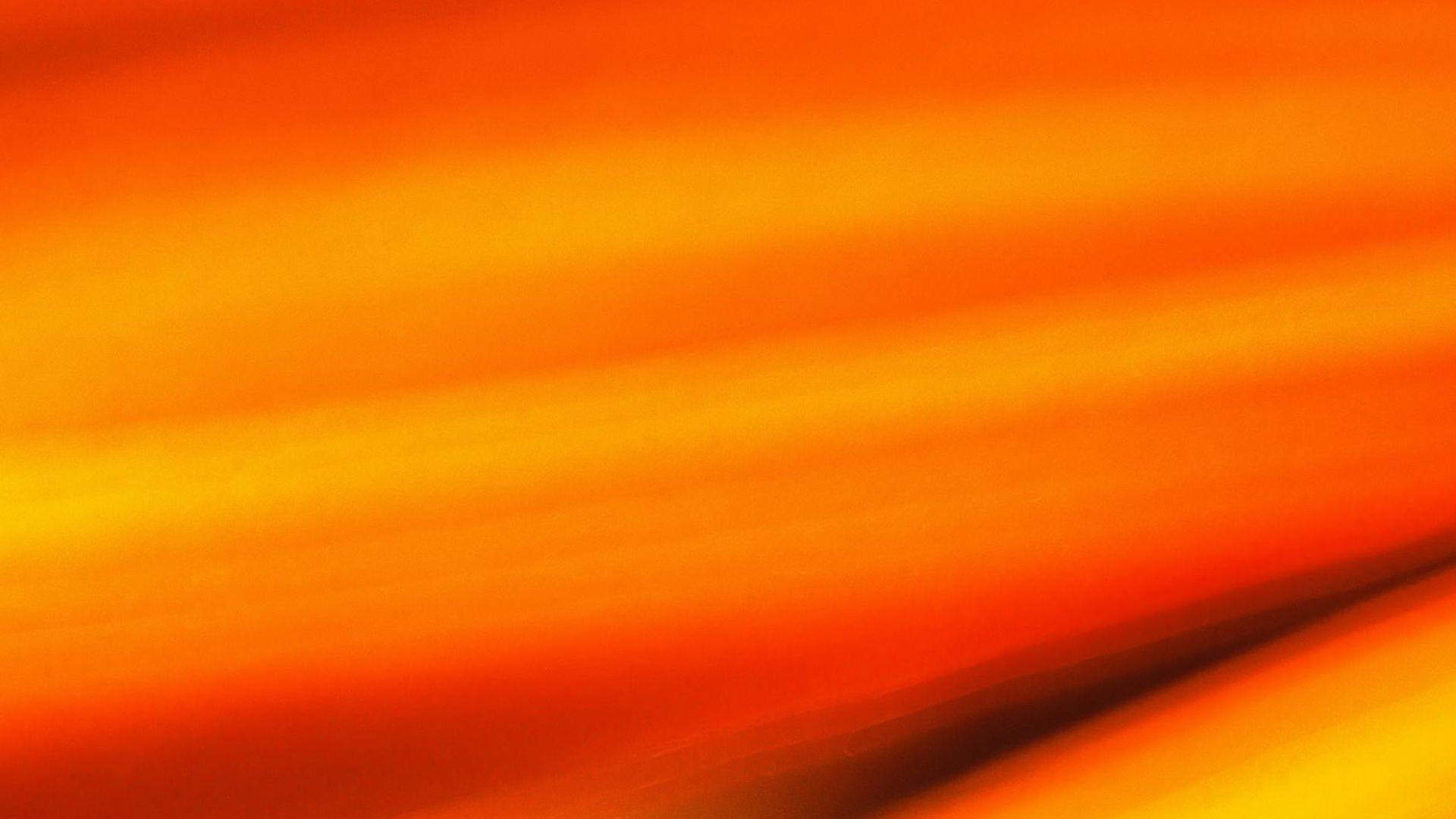 Abstract background with soft light and dynamic lines.